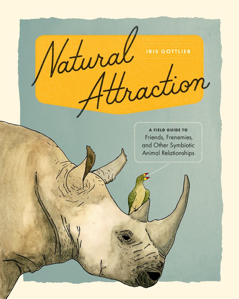 Natural attraction