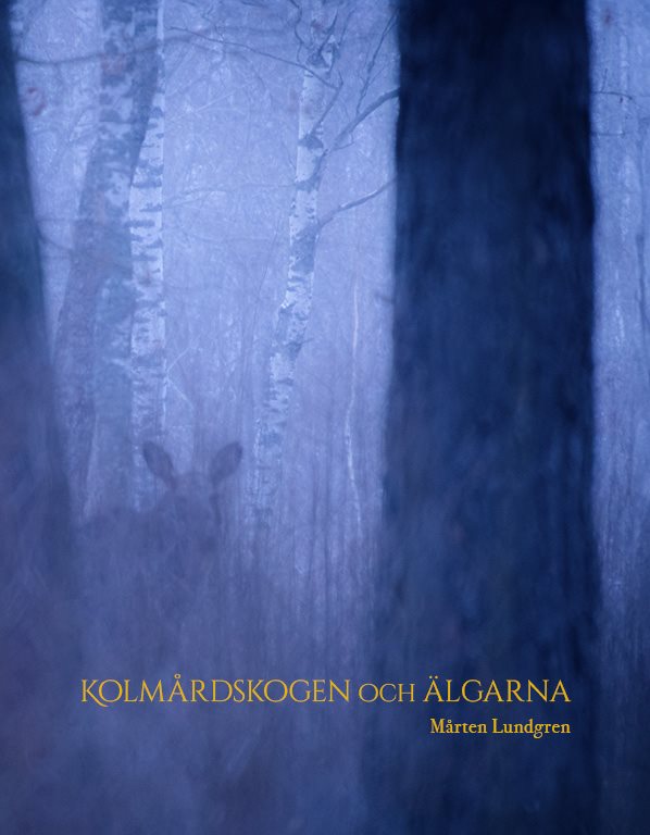 Kolmårdsskogen och Älgarna