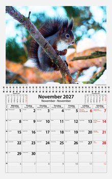 Väggkalender Sverige Natur Almanacksförlaget