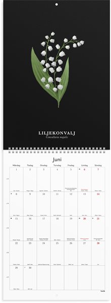 Väggkalender 2026 Illustrerad blomster